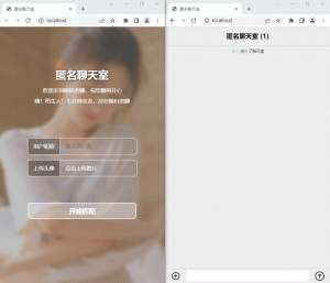 七分钟交友匿名聊天室源码-资源T站
