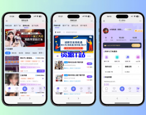 多语言-圈子-社交-陪玩源码-企业级别运营的一套源码-资源T站