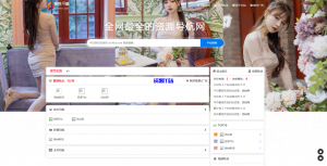 总裁导航系统2023最新开源版，简洁清爽的页面值得你前来体验源码+教程-资源T站