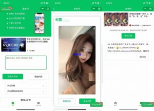 2025最新去水印小程序源码，已添加完整流量主广告，可直接运营-资源T站