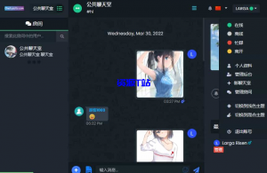 ChatNet v1.11-V1.9 汉化版源码分享及详细搭建教程,自建聊天室和私人聊天程序-资源T站