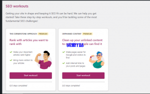 WordPress SEO插件– Yoast SEO Premium v24.9-资源T站