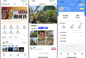 同城论坛发布社区系统源码 二手闲置 房屋出租 全开源-资源T站