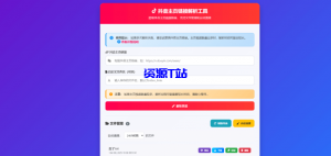 抖音主页视频链接解析工具 – 高效获取抖音视频资源-资源T站